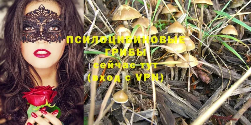 Галлюциногенные грибы Magic Shrooms  Уяр 